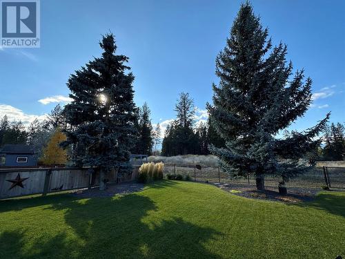 1881 Foxwood Trail, Windermere, BC - Outdoor With Backyard