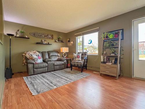 422 Nelson Street E, Virden, MB - Indoor Photo Showing Living Room