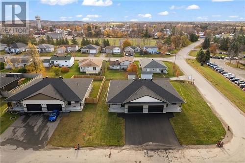 3 Bamagillia Street, Cobden, ON - Outdoor With View