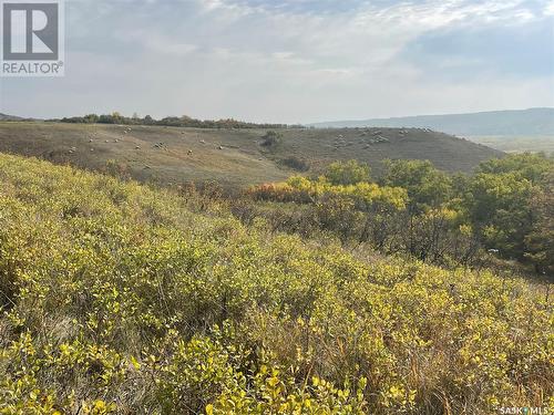 Kaposvar Creek Farm, Spy Hill Rm No. 152, SK 