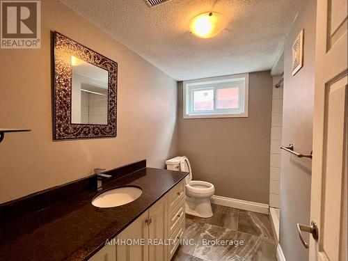 213 Ravenbury Drive, Hamilton, ON - Indoor Photo Showing Bathroom