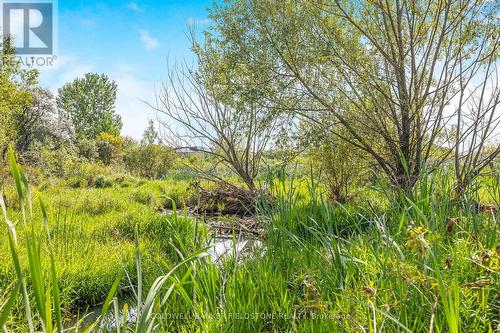 43 Jolana Crescent, Halton Hills, ON - Outdoor With View