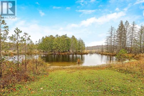 34566 Sideroad 5, West Grey, ON 