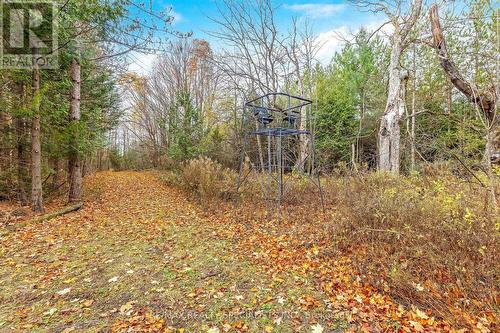 34566 Sideroad 5, West Grey, ON 