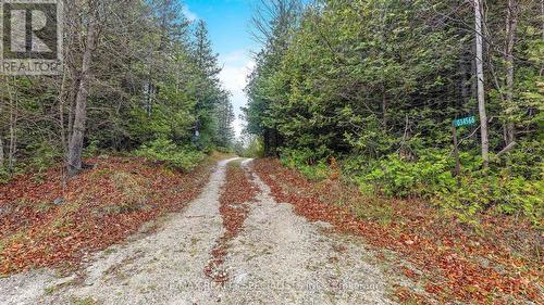 34566 Sideroad 5, West Grey, ON 