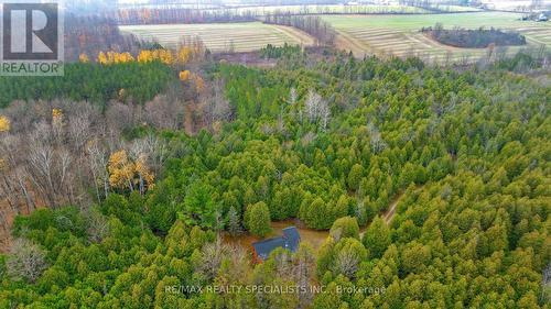 34566 Sideroad 5, West Grey, ON 