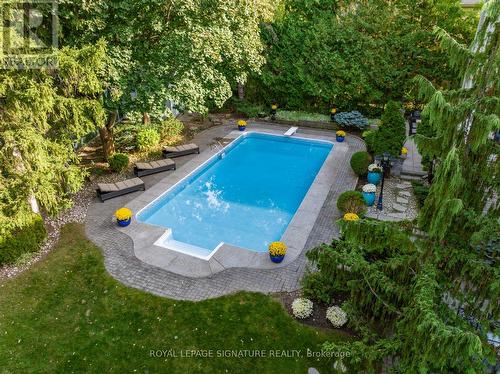 65 Charles Street, Vaughan, ON - Outdoor With In Ground Pool With Backyard