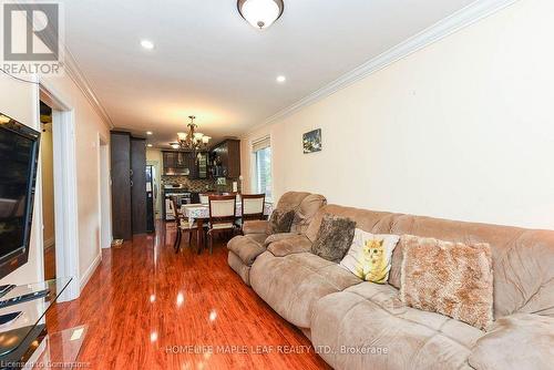 17 North Alarton Street, Mississauga, ON - Indoor Photo Showing Living Room