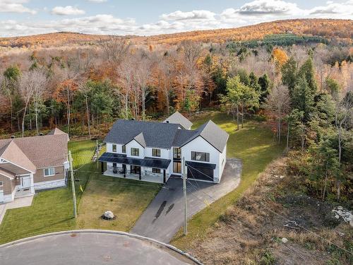 Vue d'ensemble - 343 Rue Paul-Hébert, Cowansville, QC - Outdoor With View