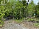 485114 Clear Lake Road, New Liskeard, ON 