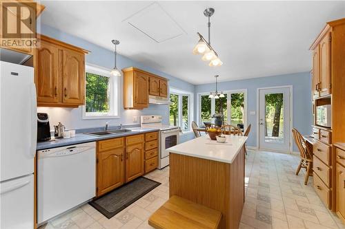 125 Clem Trail, Westmeath, ON - Indoor Photo Showing Kitchen With Double Sink