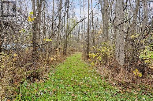 11155 Zeron Road, South Dundas, ON - Outdoor With View