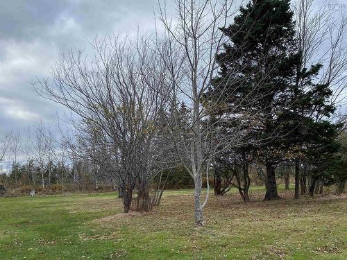 Lot 23 West Toney Drive, Toney River, NS 