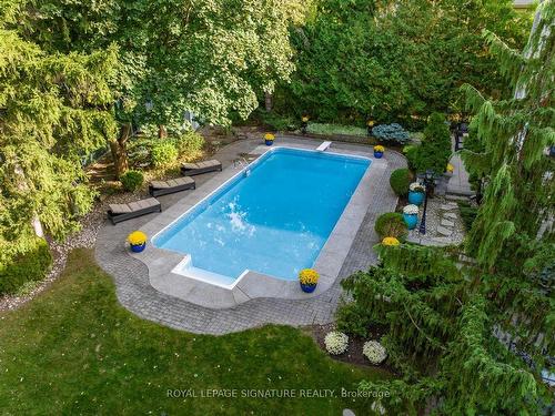 65 Charles St, Vaughan, ON - Outdoor With In Ground Pool With Backyard