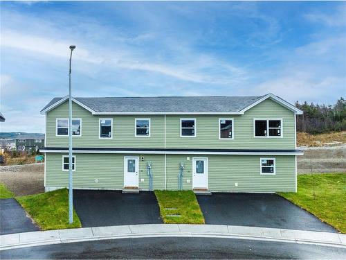 31 Lynch Place, St. John'S, NL 