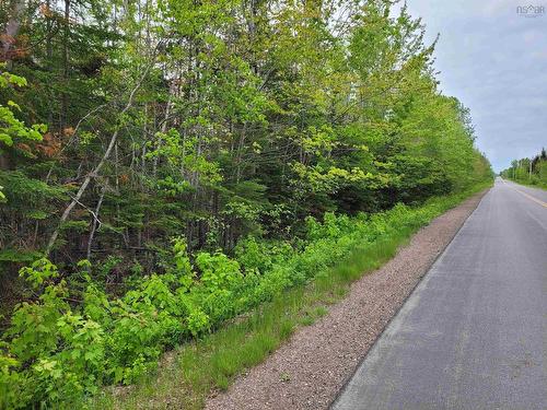 Lot Tattrie Settlement Road, French River, NS 