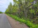 Lot Tattrie Settlement Road, French River, NS 