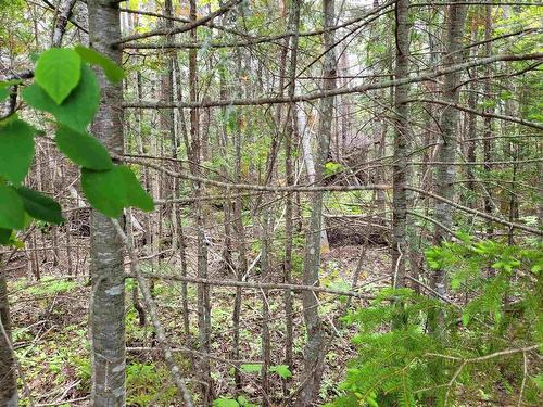 Lot Tattrie Settlement Road, French River, NS 