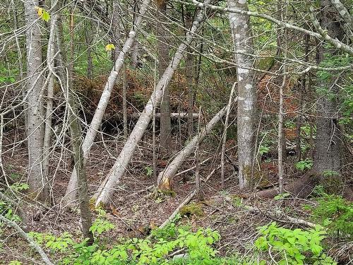 Lot Tattrie Settlement Road, French River, NS 