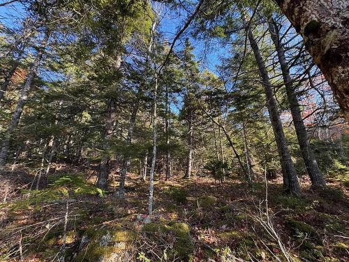 43 Lot Sand Cove Road, Westfield, NS 