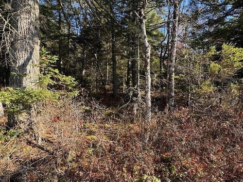 43 Lot Sand Cove Road, Westfield, NS 