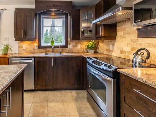 Kitchen - 59 Rue Vallières, Pont-Rouge, QC - Indoor Photo Showing Kitchen