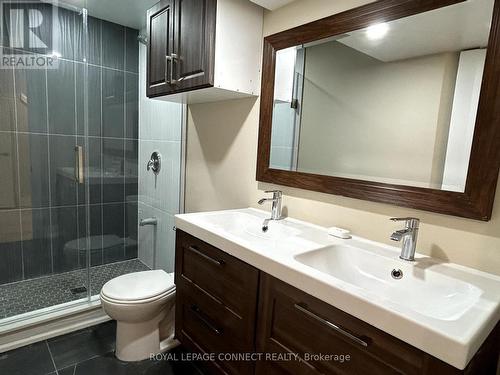 Lower - 700 Stonepath Circle, Pickering, ON - Indoor Photo Showing Bathroom