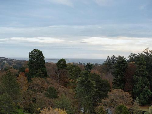 1507-620 Toronto St, Victoria, BC - Outdoor With View