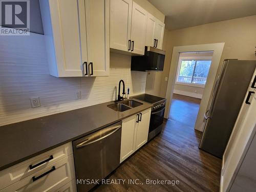 41-43 Albert Street, Hamilton, ON - Indoor Photo Showing Kitchen With Double Sink