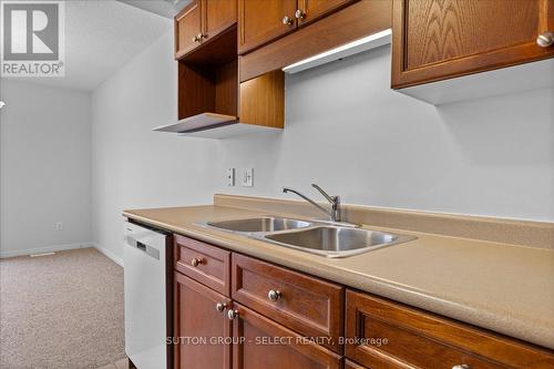 115 Templewood Drive, Kitchener, ON - Indoor Photo Showing Kitchen With Double Sink