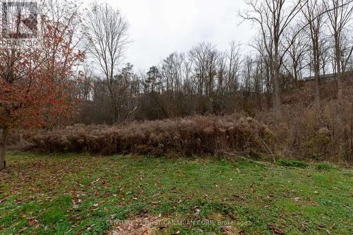 12 Davis Street, Central Elgin (Lynhurst), ON - Outdoor With View