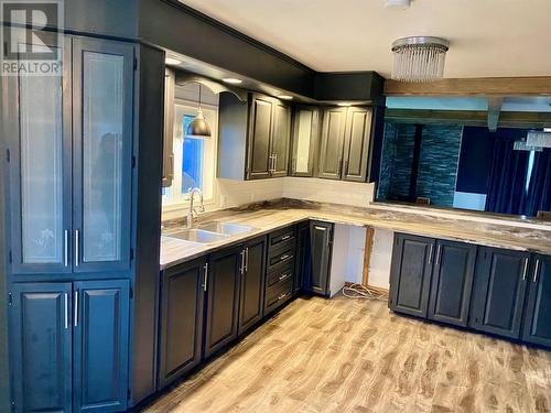 7 Pinetree Road, Glovertown, NL - Indoor Photo Showing Kitchen With Double Sink