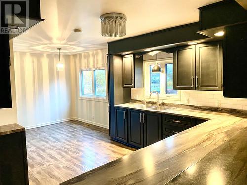 7 Pinetree Road, Glovertown, NL - Indoor Photo Showing Kitchen With Double Sink