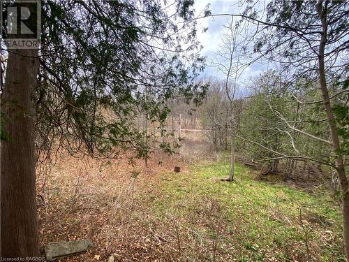 View of local wilderness - 76 10Th Street, Hanover, ON - Outdoor With View