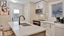 Upper - 5 Sunning Hill Avenue, Hamilton, ON  - Indoor Photo Showing Kitchen With Double Sink With Upgraded Kitchen 