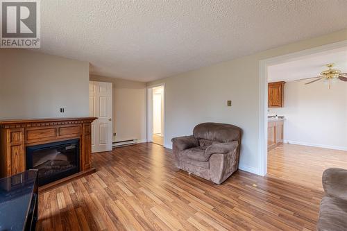 6 Wills Place, Torbay, NL - Indoor Photo Showing Living Room With Fireplace