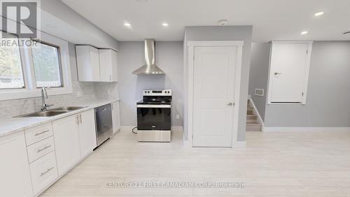 43 Carey Crescent, London, ON - Indoor Photo Showing Kitchen With Double Sink