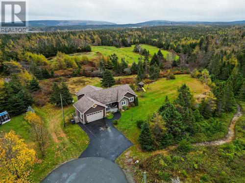 55 Woodview Place, Conception Bay South, NL - Outdoor With View