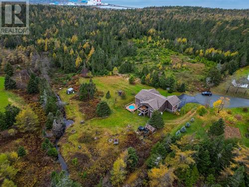 55 Woodview Place, Conception Bay South, NL - Outdoor With View