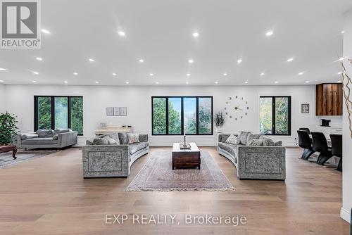 20817 Mccowan Road, East Gwillimbury, ON - Indoor Photo Showing Living Room