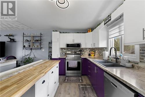 19 St. Joseph Street, St. Charles, ON - Indoor Photo Showing Kitchen With Double Sink