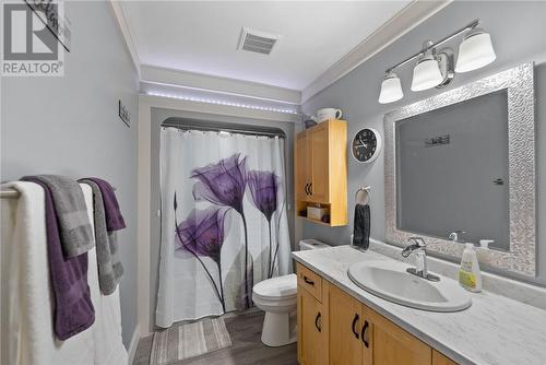 19 St. Joseph Street, St. Charles, ON - Indoor Photo Showing Bathroom