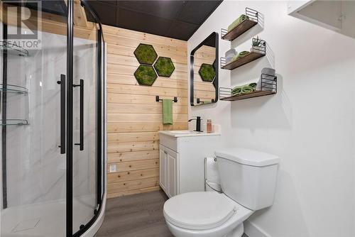 19 St. Joseph Street, St. Charles, ON - Indoor Photo Showing Bathroom