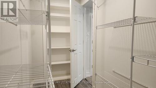 Lower - 146 Carrington Drive, Richmond Hill, ON - Indoor With Storage