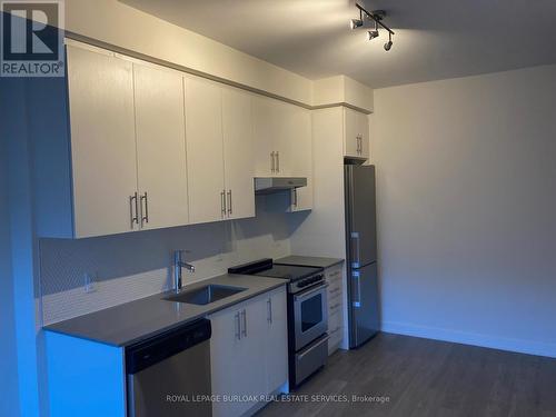 422 - 212 King William Street, Hamilton, ON - Indoor Photo Showing Kitchen