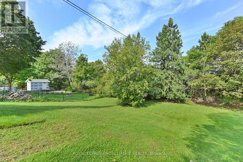 220 Pine Street, Belleville, ON - Outdoor