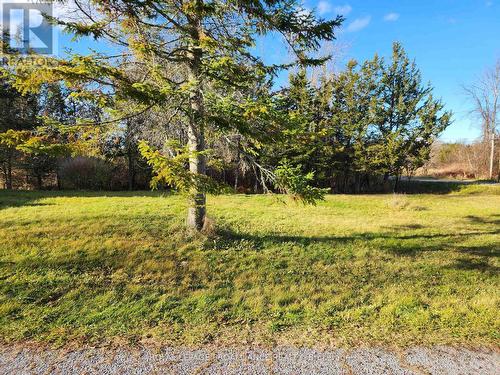 545 County Rd 19, Prince Edward County (Ameliasburgh), ON - Outdoor