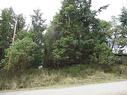 Lot 22 Lawnhill Dr, Salt Spring, BC 