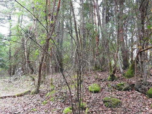 Lot 22 Lawnhill Dr, Salt Spring, BC 