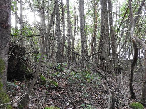 Lot 22 Lawnhill Dr, Salt Spring, BC 